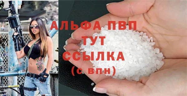 индика Бежецк