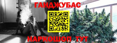 гашик Кунгур