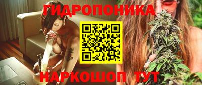 гашик Кунгур