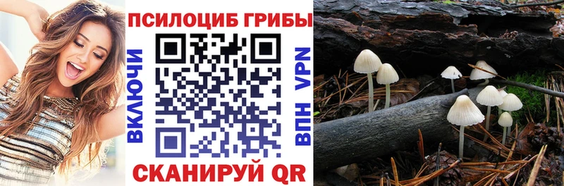 Псилоцибиновые грибы мицелий  Пушкино 